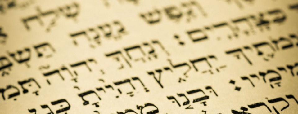 What Is the Torah?
